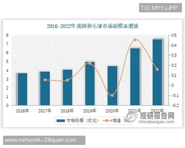 南京羽毛球队实力揭秘:羽毛球巨献背后的训练与成就分析