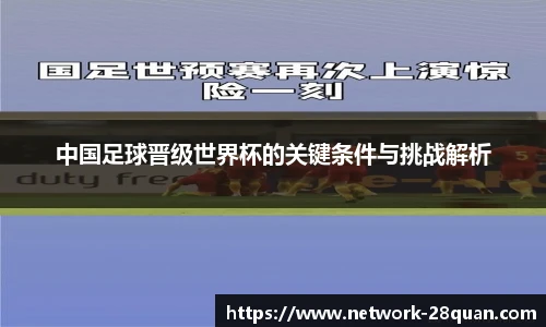 28圈平台
